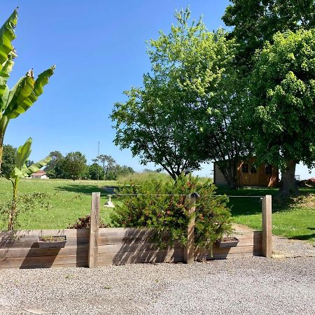 Le Domaine De Darracq Hotel Arsagne ภายนอก รูปภาพ